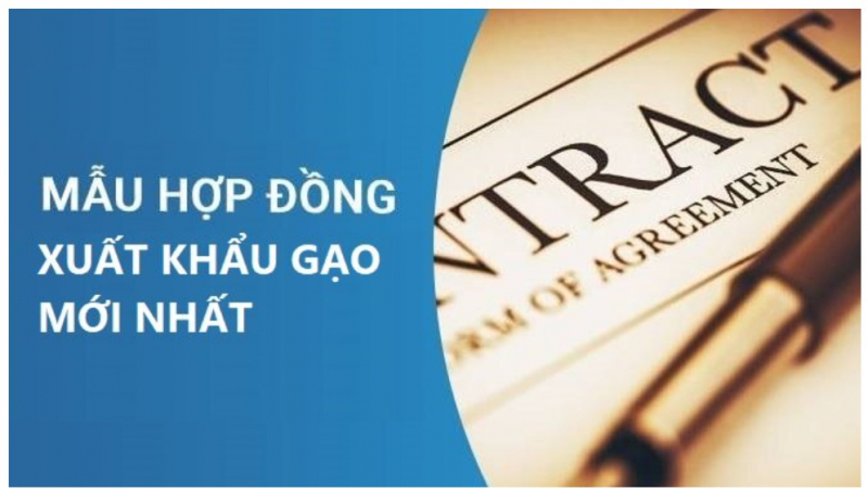 Danh sách 7 siro tốt cho mắt trẻ mà mẹ nên biết