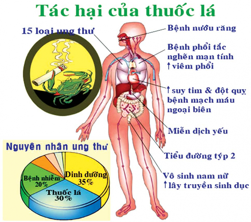 Ảnh minh họa (Nguồn internet)