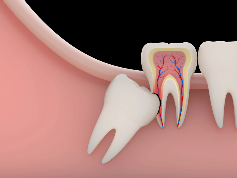 Khám phá 5 Quán ốc ngon số một tại Đắk Nông