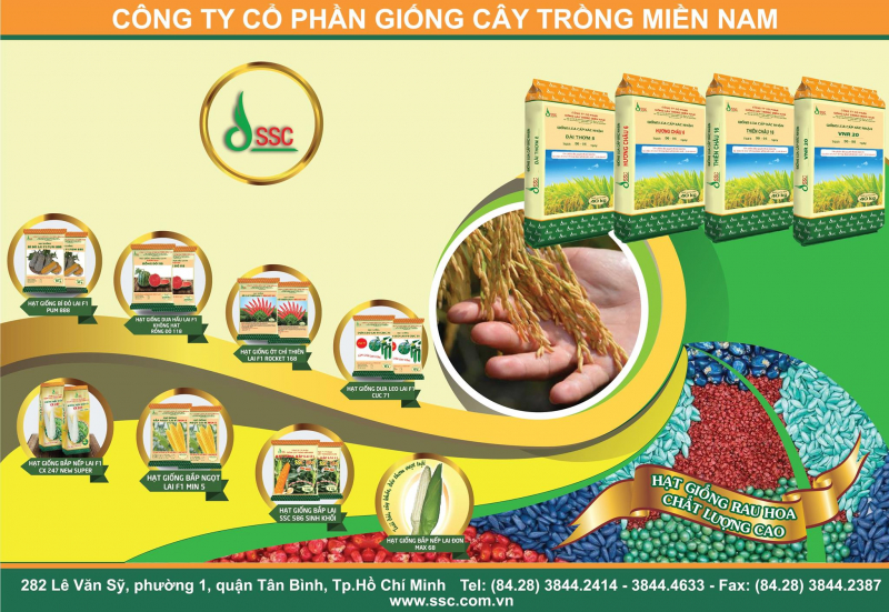 Top 5 Cửa hàng giỏ quà Tết đẳng cấp, uy tín ở Tây Ninh