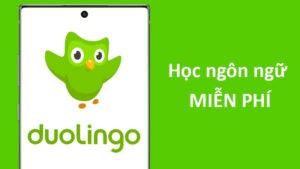 Duolingo