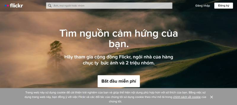 Giao diện Flickr
