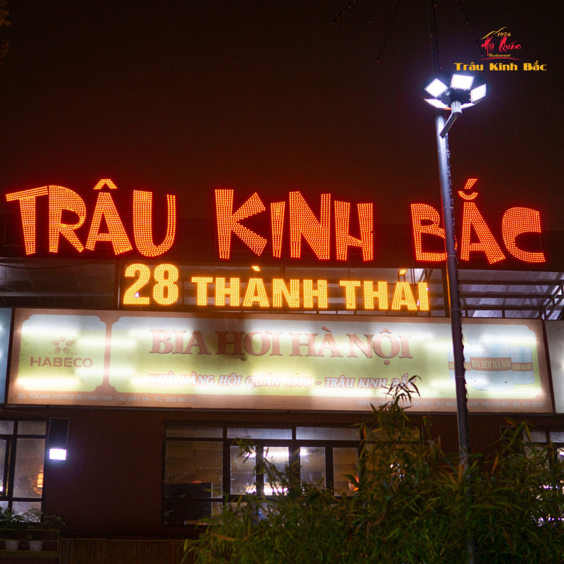 Trâu Kinh Bắc - 28 Thành Thái