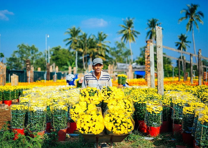 Làng hoa An Thạnh – An Giang