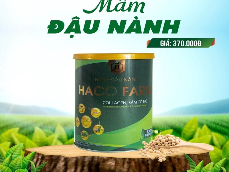 Mầm đậu nành Haco Farm