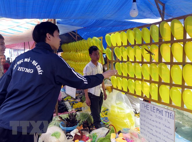 Ném bóng bay bằng phi tiêu