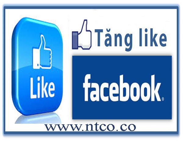 ntco.co là địa chỉ vô cùng uy tín cung cấp dịch vụ tăng sub, tăng like Facebook