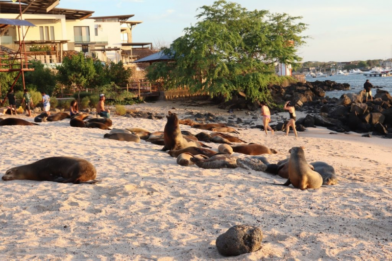 Quần đảo Galapagos