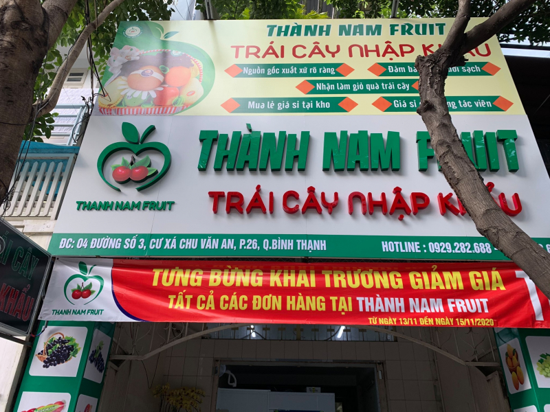 Tìm hiểu 5 sản phẩm keo gián nhựa chất lượng hàng đầu