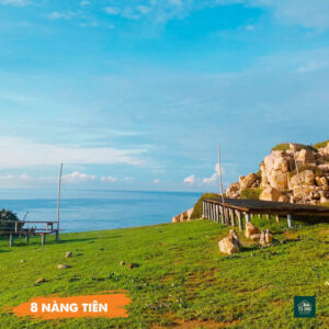 Tổ Ong Adventure