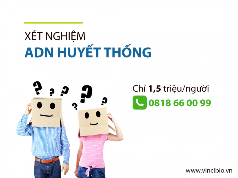 7 Địa Điểm Thưởng Thức Trà Sữa Tại Bến Lức, Long An