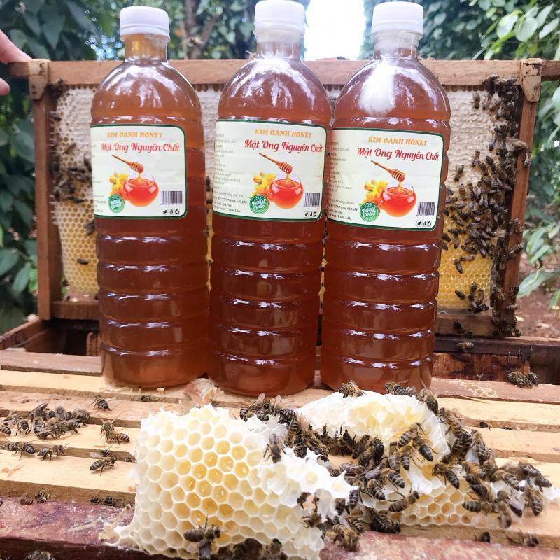 Những chỗ bán mật ong rừng đáng tin cậy ở Đắk Lắk