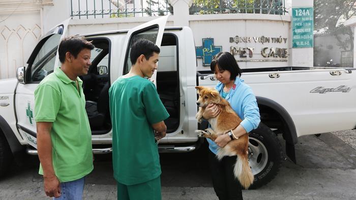 Dịch vụ trông chó mèo Tết TP. HCM uy tín hàng đầu