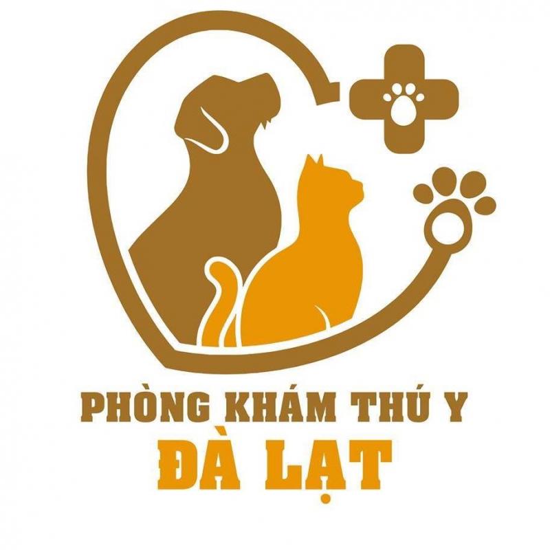 Trải nghiệm spa đỉnh cao dành cho thú cưng ở Đà Lạt